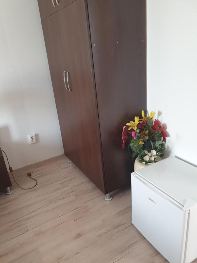Отель Casa Lions Тимишоара Экстерьер фото