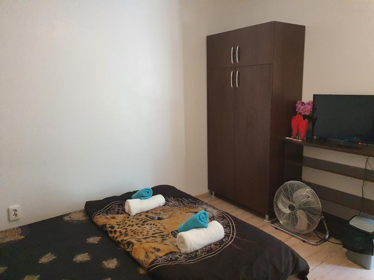 Отель Casa Lions Тимишоара Экстерьер фото