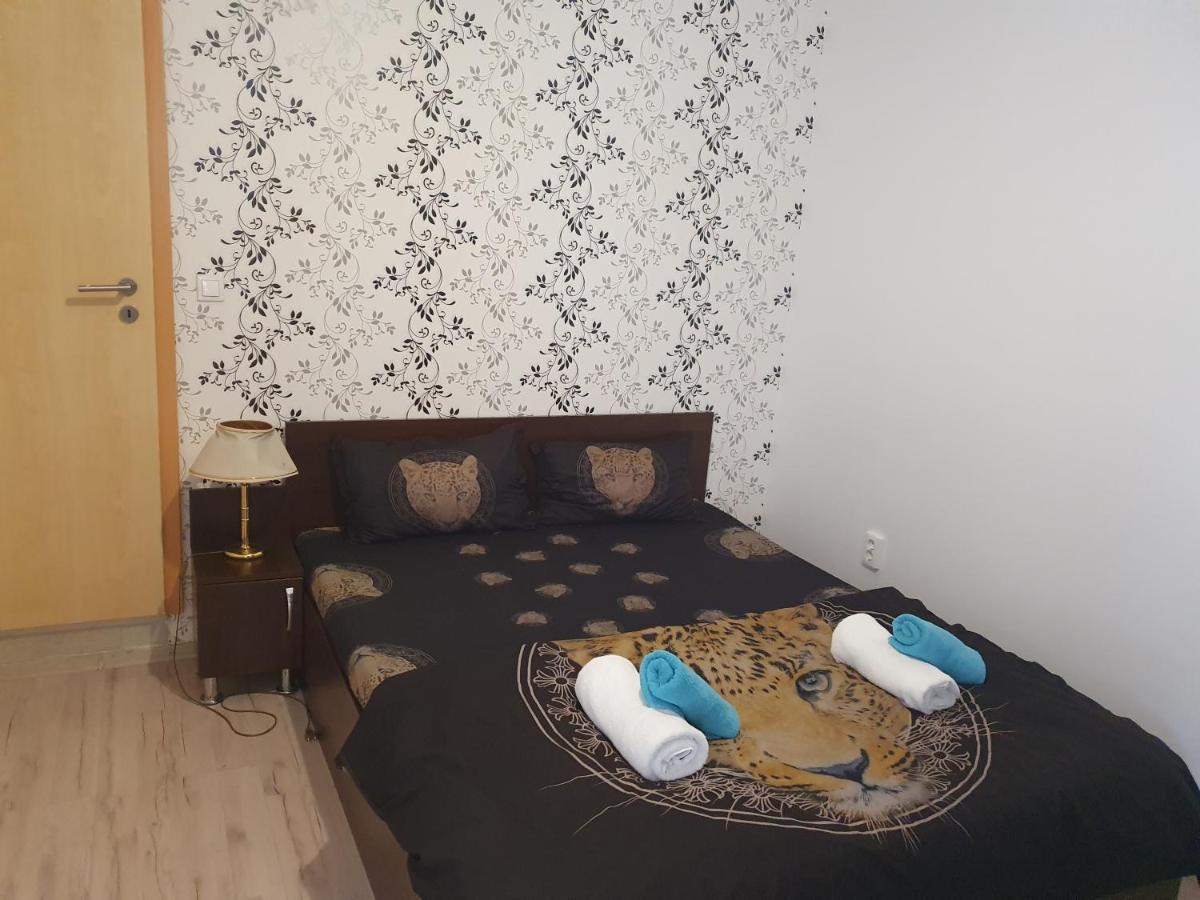 Отель Casa Lions Тимишоара Экстерьер фото