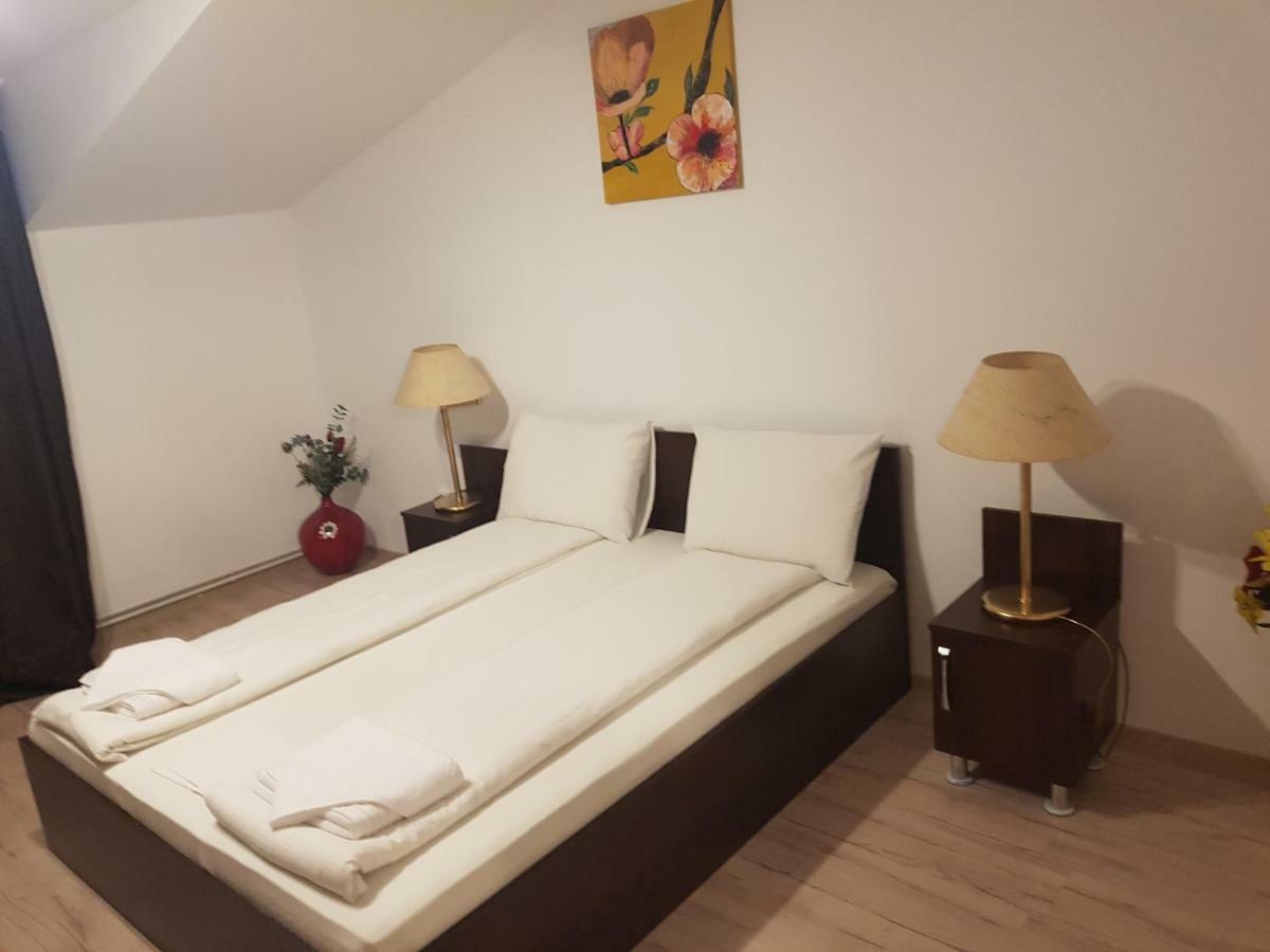 Отель Casa Lions Тимишоара Экстерьер фото