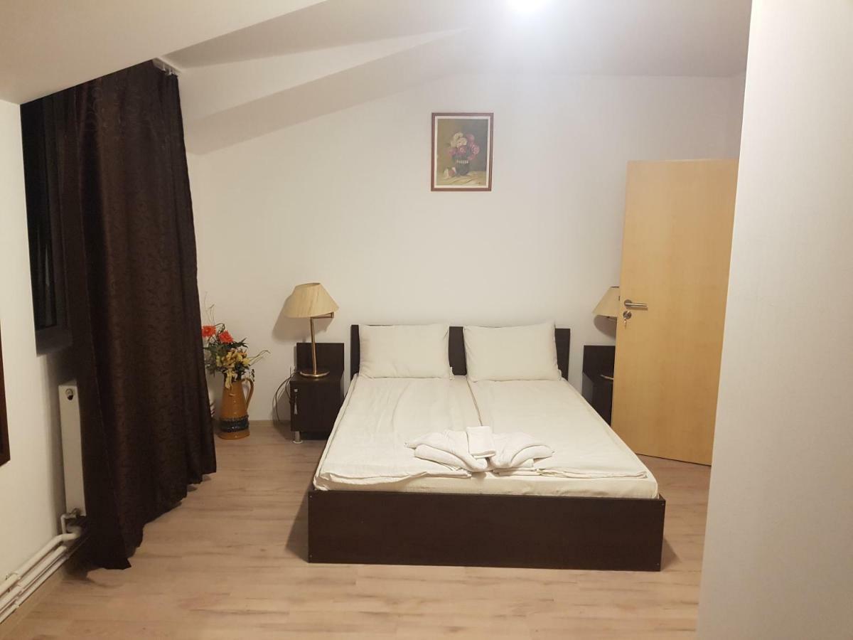 Отель Casa Lions Тимишоара Экстерьер фото
