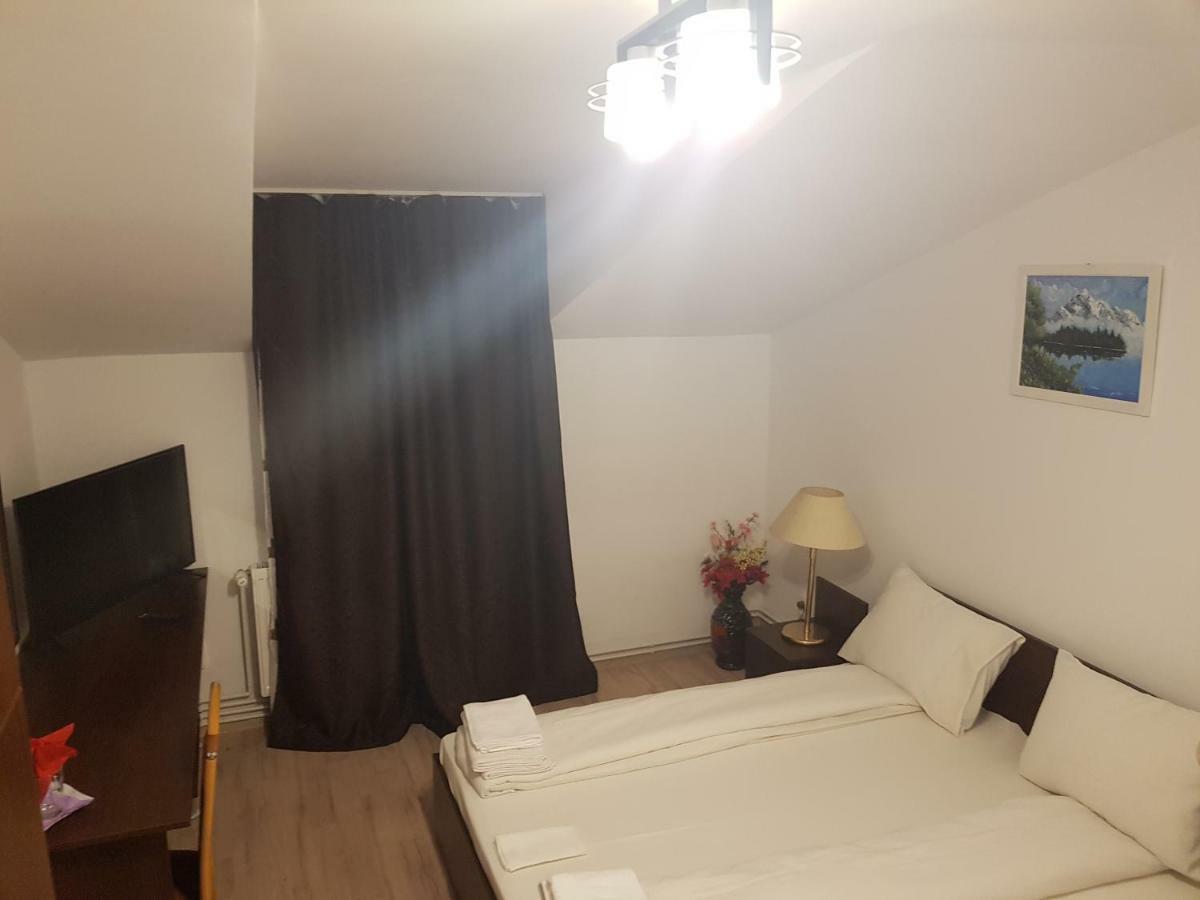 Отель Casa Lions Тимишоара Экстерьер фото