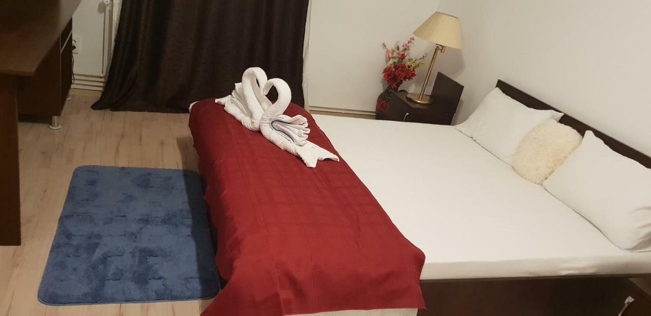 Отель Casa Lions Тимишоара Экстерьер фото