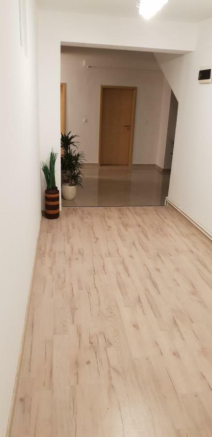 Отель Casa Lions Тимишоара Экстерьер фото