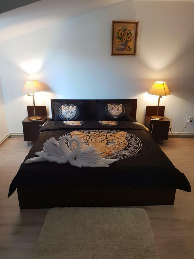 Отель Casa Lions Тимишоара Экстерьер фото