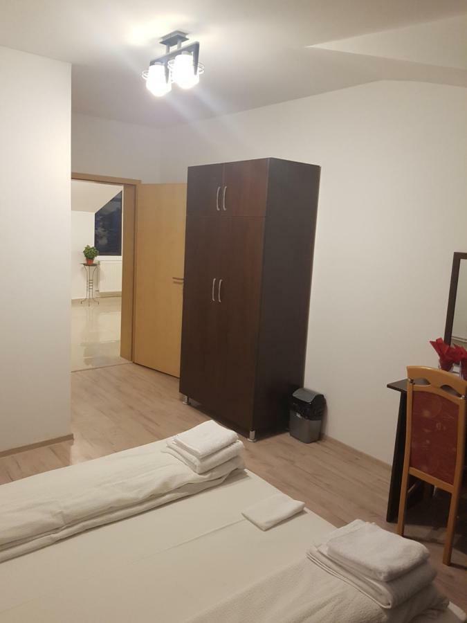 Отель Casa Lions Тимишоара Экстерьер фото