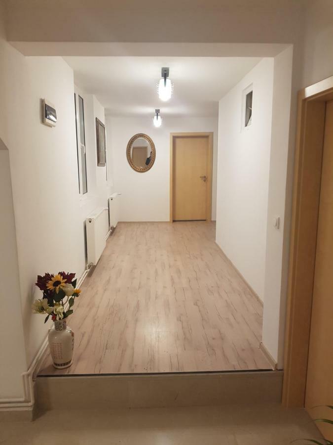 Отель Casa Lions Тимишоара Экстерьер фото