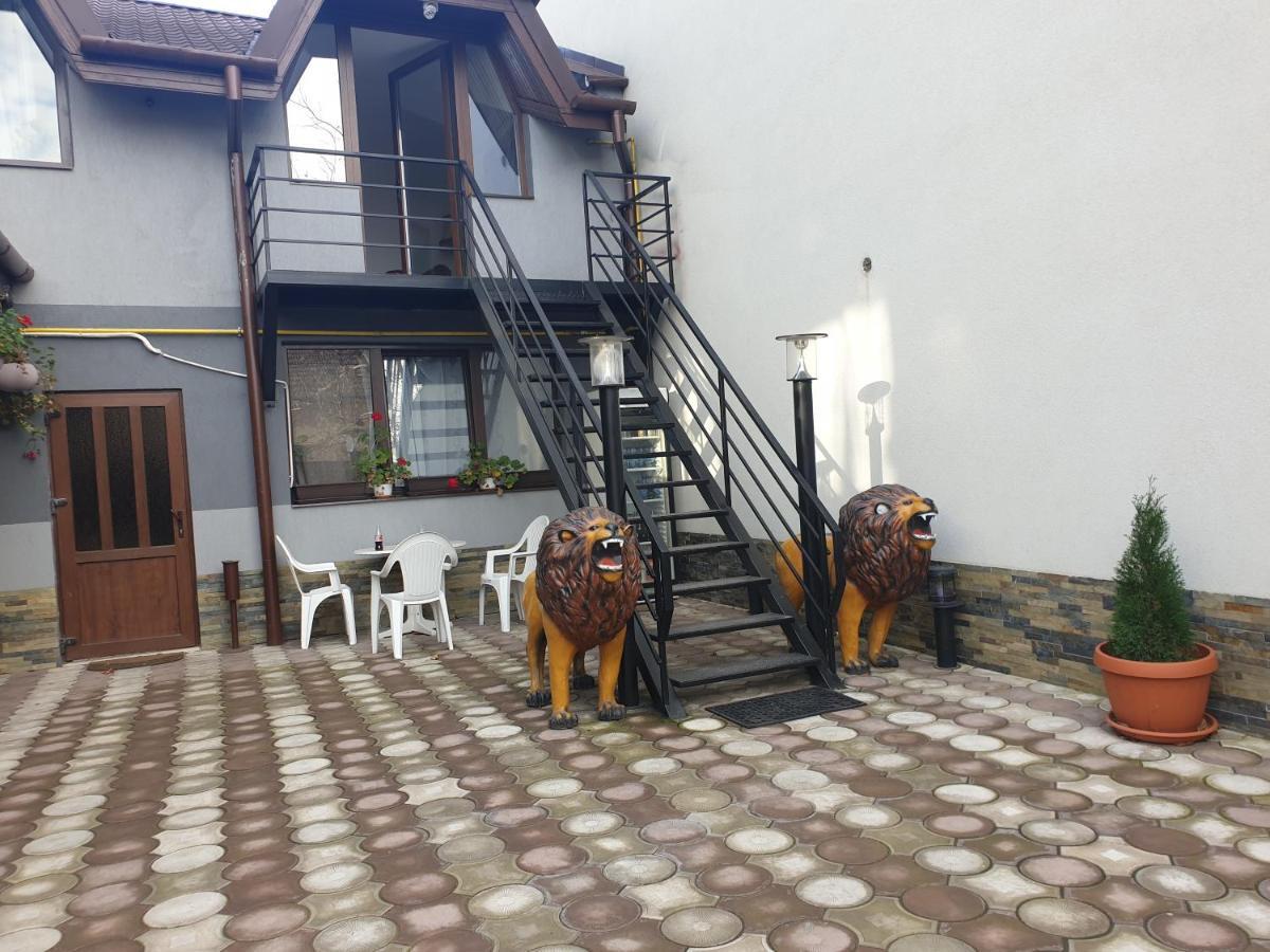 Отель Casa Lions Тимишоара Экстерьер фото